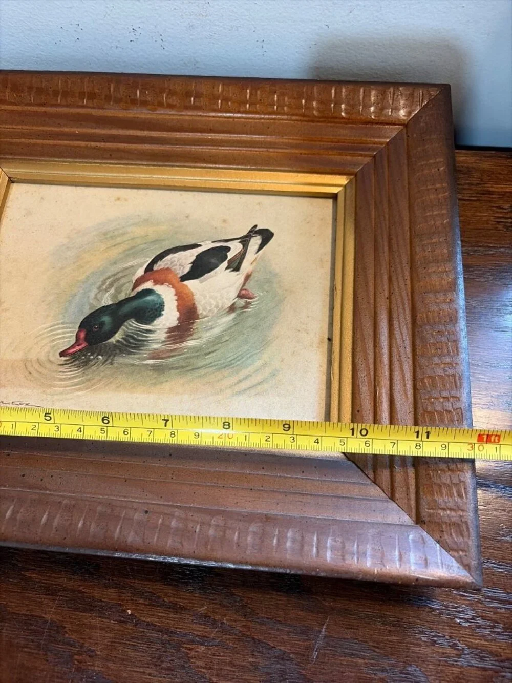 VTG Framed Duck Print By Basil Ede 12
